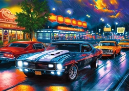 Trefl puslespil Premium Plus Nattur 1000 brikker