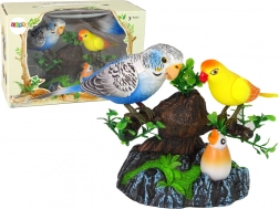 Syngende bevægelige parakitter Farverigt træ