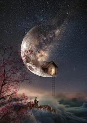 Puslespil Drømmenes hvisken 1000 brikker