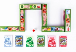 Bjergudfordring – familiens kapløbsspil PIC CHALLENGE