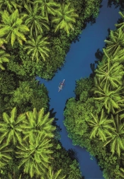 Puslespil med tropisk udsigt fra fugleperspektiv