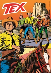 Puslespil 1000 brikker Tex Compact