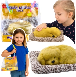 Sovende labradorhvalp på pude med blød pels i bærepose