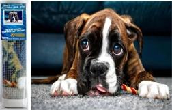 Diamantmosaik - Boxerhund