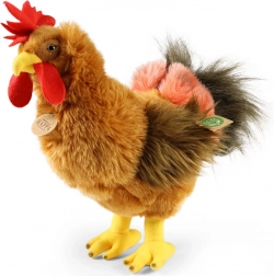 Rappa plysbamse hane 33 cm miljøvenlig