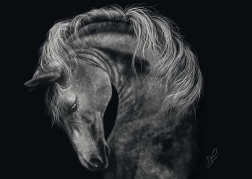 Puslespil Hestens styrke 1000 brikker