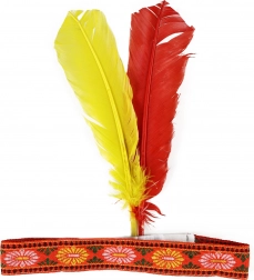 Indiansk hovedpynt med fjer