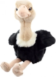 Plysstruds 18 cm, økologisk