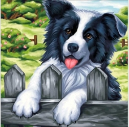 Diamantbroderi (diamond painting) billede „Hund på hegnet“ 30 × 30 cm - 1 stk.