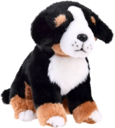 Plys Berner Sennenhund - siddende 20 cm