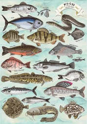 Puslespil TREFL Premium Plus Finders Keepers: fisk 500 brikker