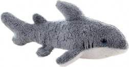 Plysb Shark