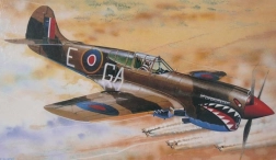 Model af fly Curtiss P-40K Kittyhawk Mk. III 1/72