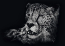 Puslespil Gepardens hastighed 1000 brikker SCHMIDT