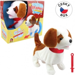 Hunden Besinka med fløjte