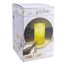 Harry Potter lommelygte med tryllestav