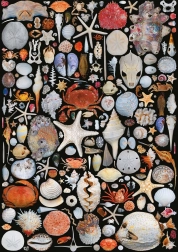 Puslespil Fra stranden 1000 brikker PIATNIK