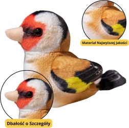 Lille Plysset Fugle Blå Mejse