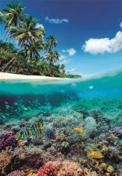 Puslespil Sommerparadis 1000 brikker fra Clementoni