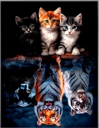 Diamantmaling – katte og rovdyr 30 × 40 cm