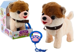 Interaktiv hund på snor