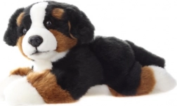 Plys Berner sennenhund 25 cm