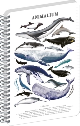 Notique A5 spiralblok Animalium Under havet, linjeret