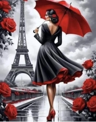 Kreativt sæt Diamantmaling Kvinde i Paris