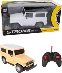 Fjernstyret terrængående bil med lys