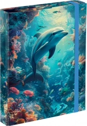 Mapper til skolehæfter BAAGL Delfin A5