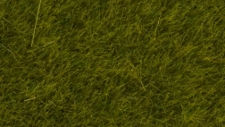 Statisk græs Vild eng 6 mm