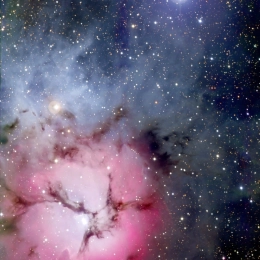 Puslespil Trifid-tågen 1000 brikker