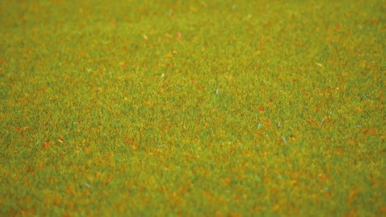 Realistisk blomstrende eng ved første blik
