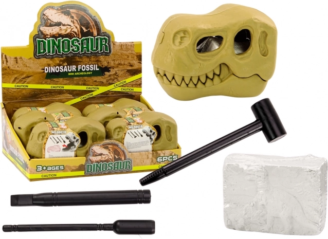 Arkæologiske udgravninger Dinosaur Fossiler Kranium