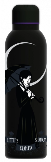 Rustfri stålflaske Wednesday 700 ml