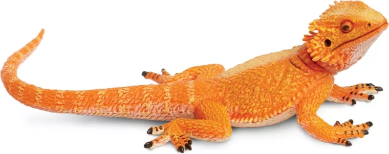 Figur af skægagame fra Safari Ltd.