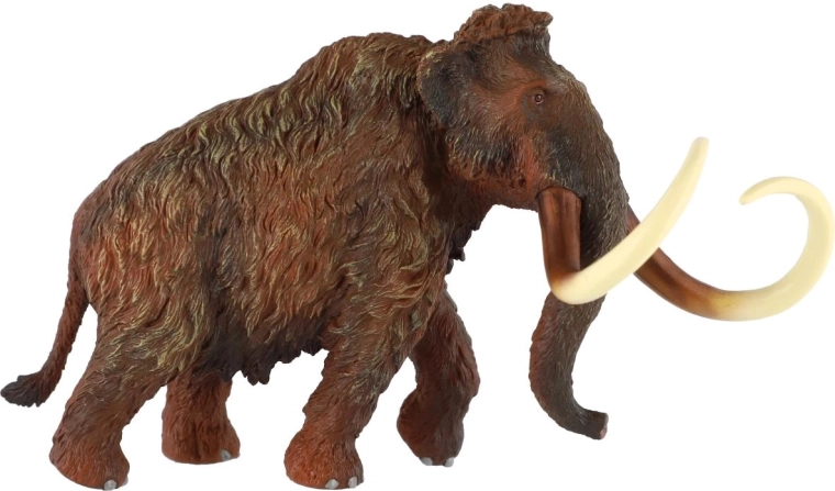 Naturtro tekstur og farvelægning