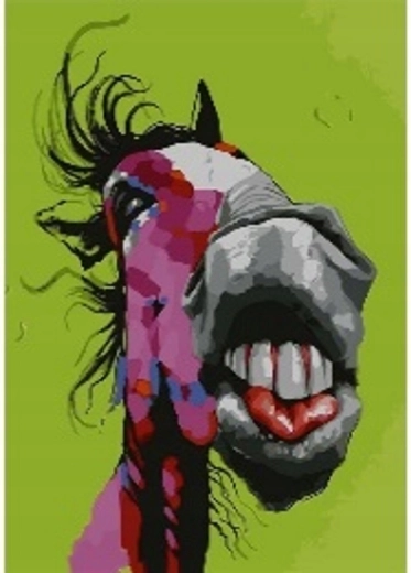 Norimpex Mal efter tal Crazy Horse 40 × 50 cm