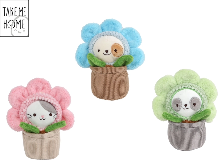 Take Me Home plyskat i blomsterpotte 15 cm