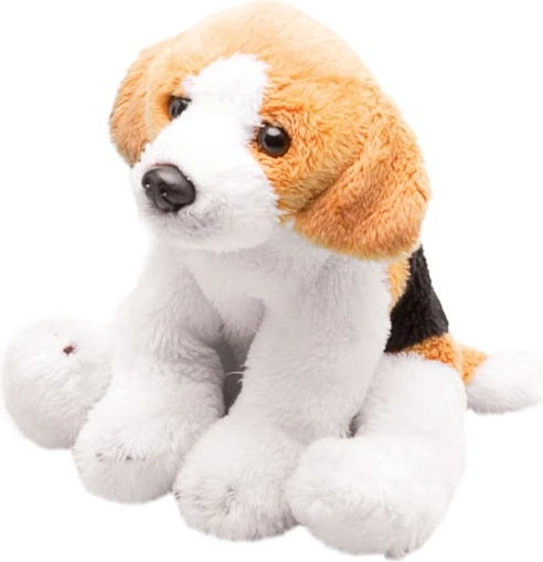 plys hund beagle premium