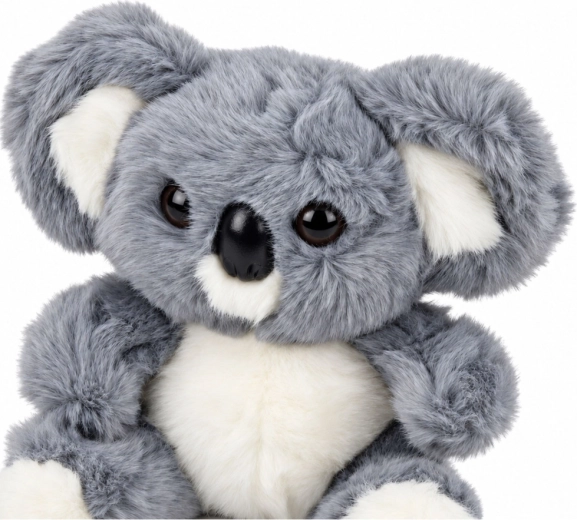 Sød koaladesign