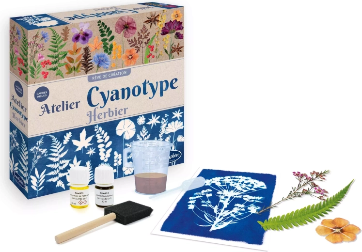 Sentosphere kyanotypi – herbariumværksted