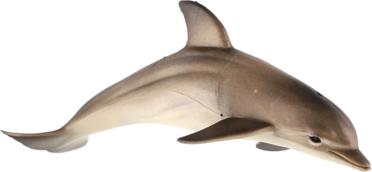 Realistisk udformning af delfinen