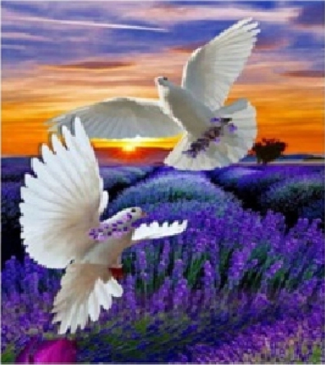 Norimpex diamantmaling fredsdue 30 × 40 cm