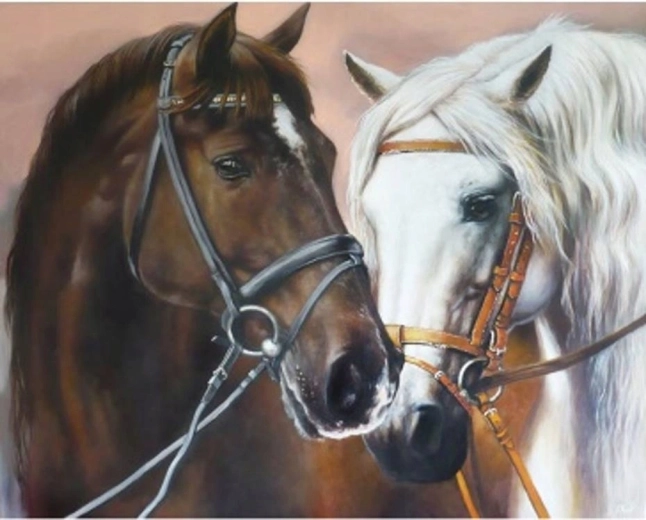 Norimpex Mal efter tal omfavnende heste 40 × 50 cm