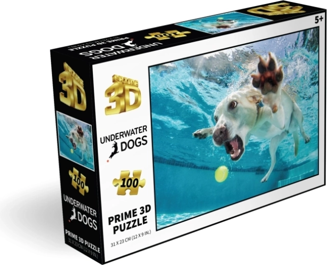 100 brikker til klog underholdning