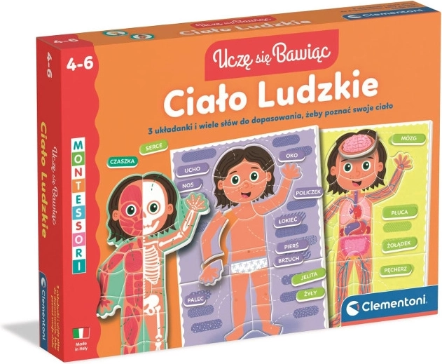Menneskekroppen – læringspuslespil for børn 4–6 år