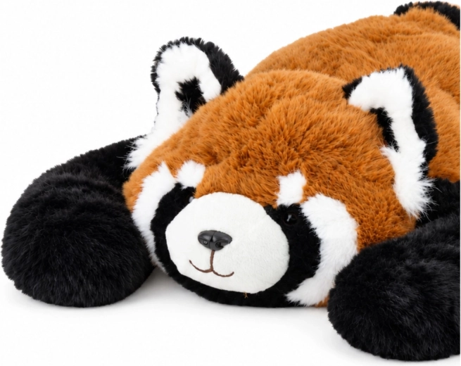 Sødt motiv af en rød panda