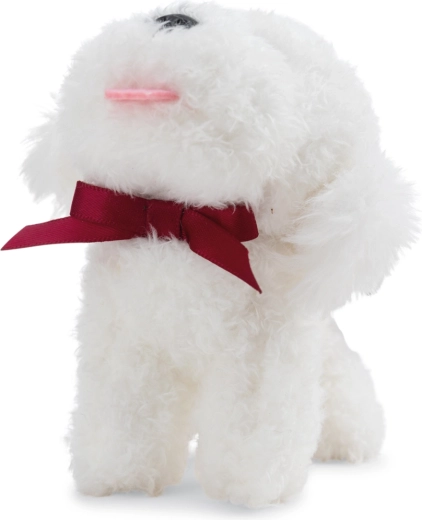 Sød bichon med sløjfe