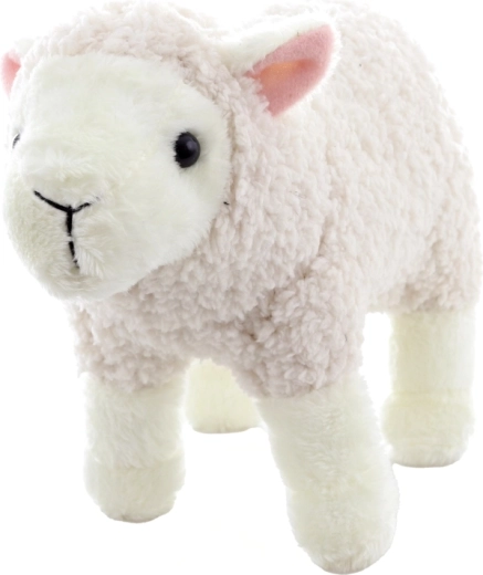 Let og kompakt til hjemmebrug og på farten